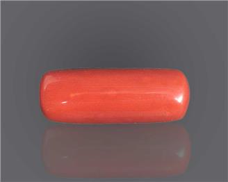 Natural Red Coral  11.68 RTS (46332)